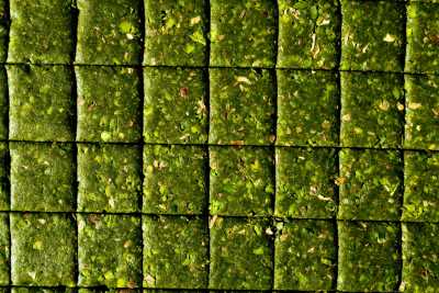 Antepfıstığı Ezmesi2